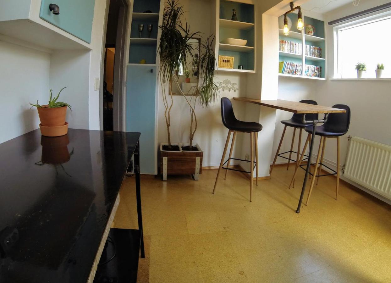 Skjolbraut - Cozy Apartment - Central Location - Free Parking - Close To A Public Swimming Pool And Sky Lagoon Reykjavík Exterior foto